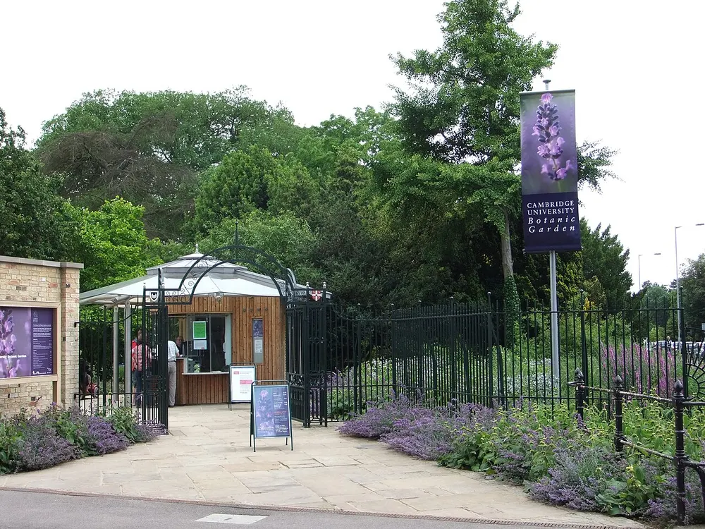 Trees and glasshouses at the Cambridge University Botanic Garden